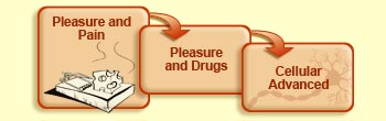 Pleasure and pain