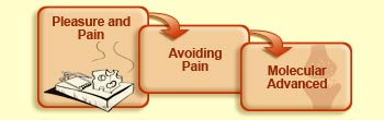 Pleasure and pain