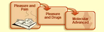 Pleasure and pain