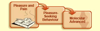 Pleasure and pain