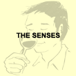 The senses