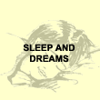 Sleep and dreams