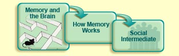 Memory and the brain