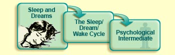 Sleep and dreams